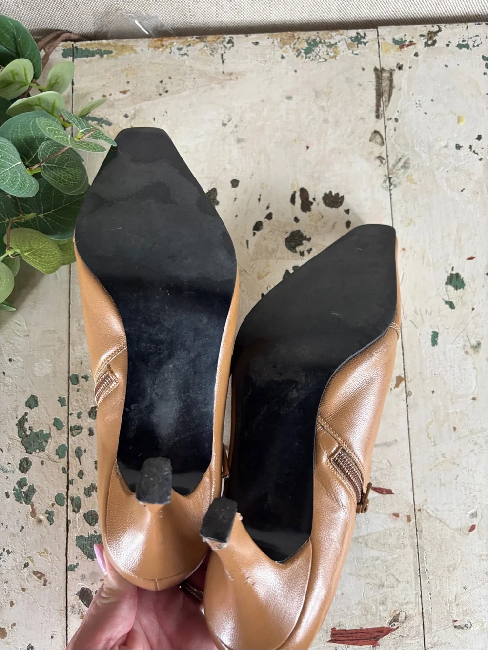 Bisou Bisou > Tan Leather Pointed-Toe Lace-Up Heels 8